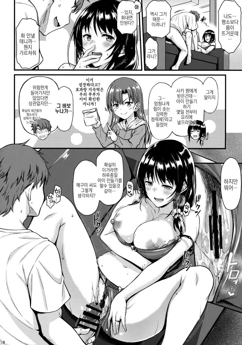 (COMIC1☆13) [Tonpuuratei (Saemon)] Megumi-san to Kozukuri Ecchi | 메구미 씨하고 아이만들기 섹스 [Korean] - Page 17