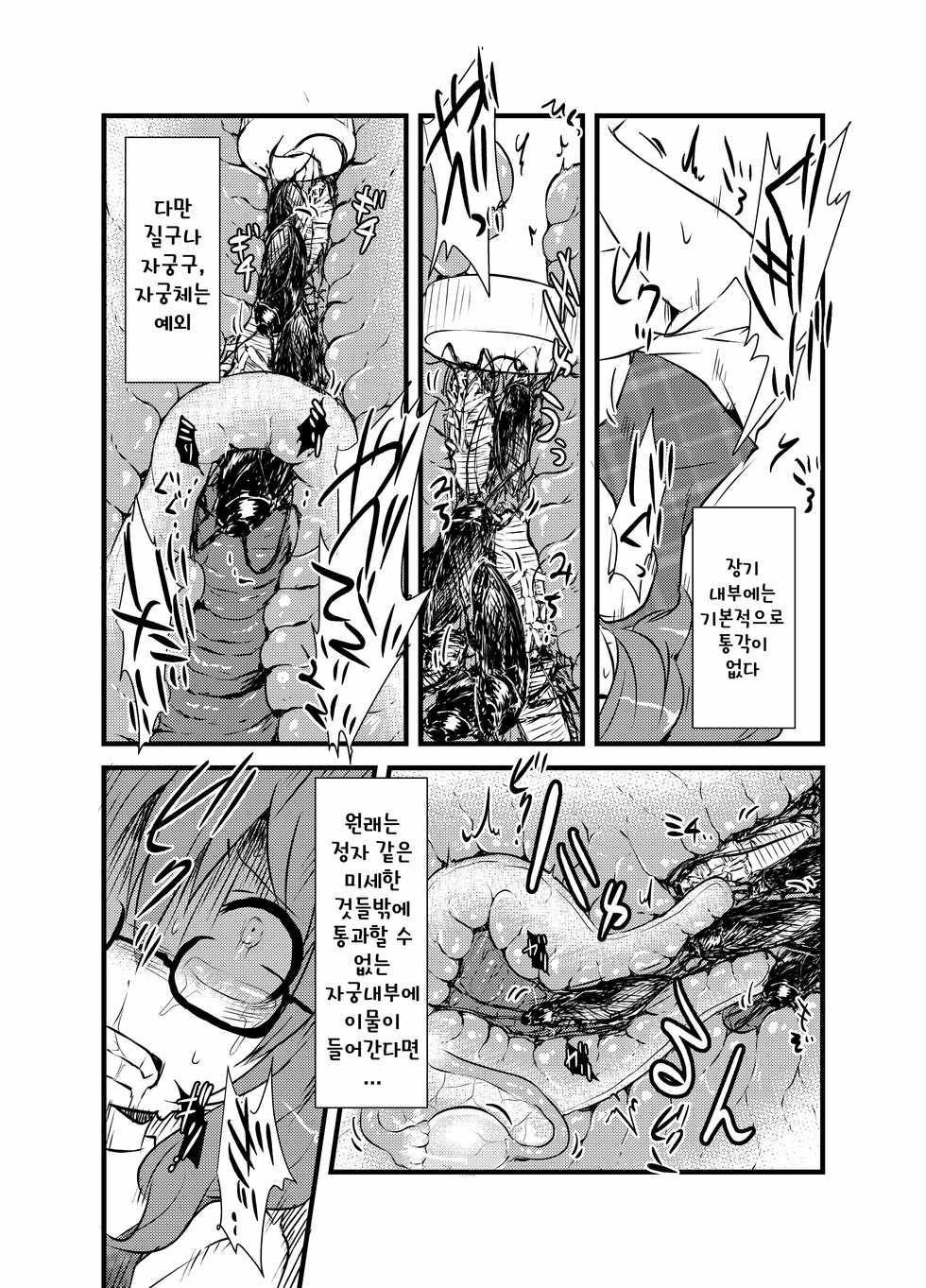 [02 (Harasaki)] Sumireko-chan no Chitsunai ni Gokiburi o Ireru Hon (Touhou Project) [Korean] [Digital] - Page 12