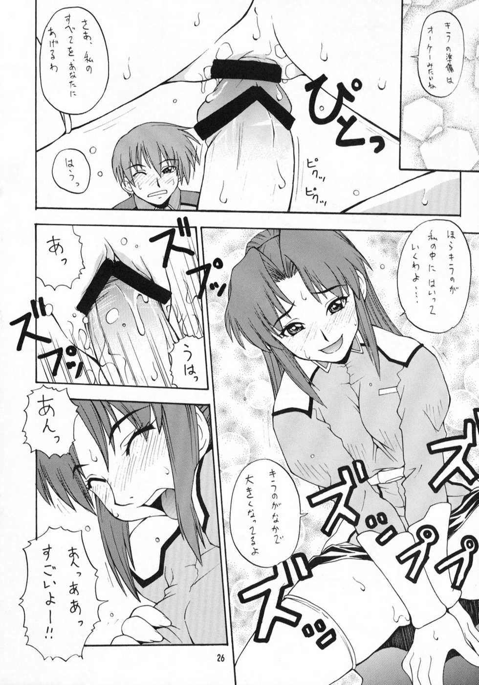 [MANGANA (Doluta, Nishimo)] Nyan Nyan Seed (Gundam Seed) - Page 25