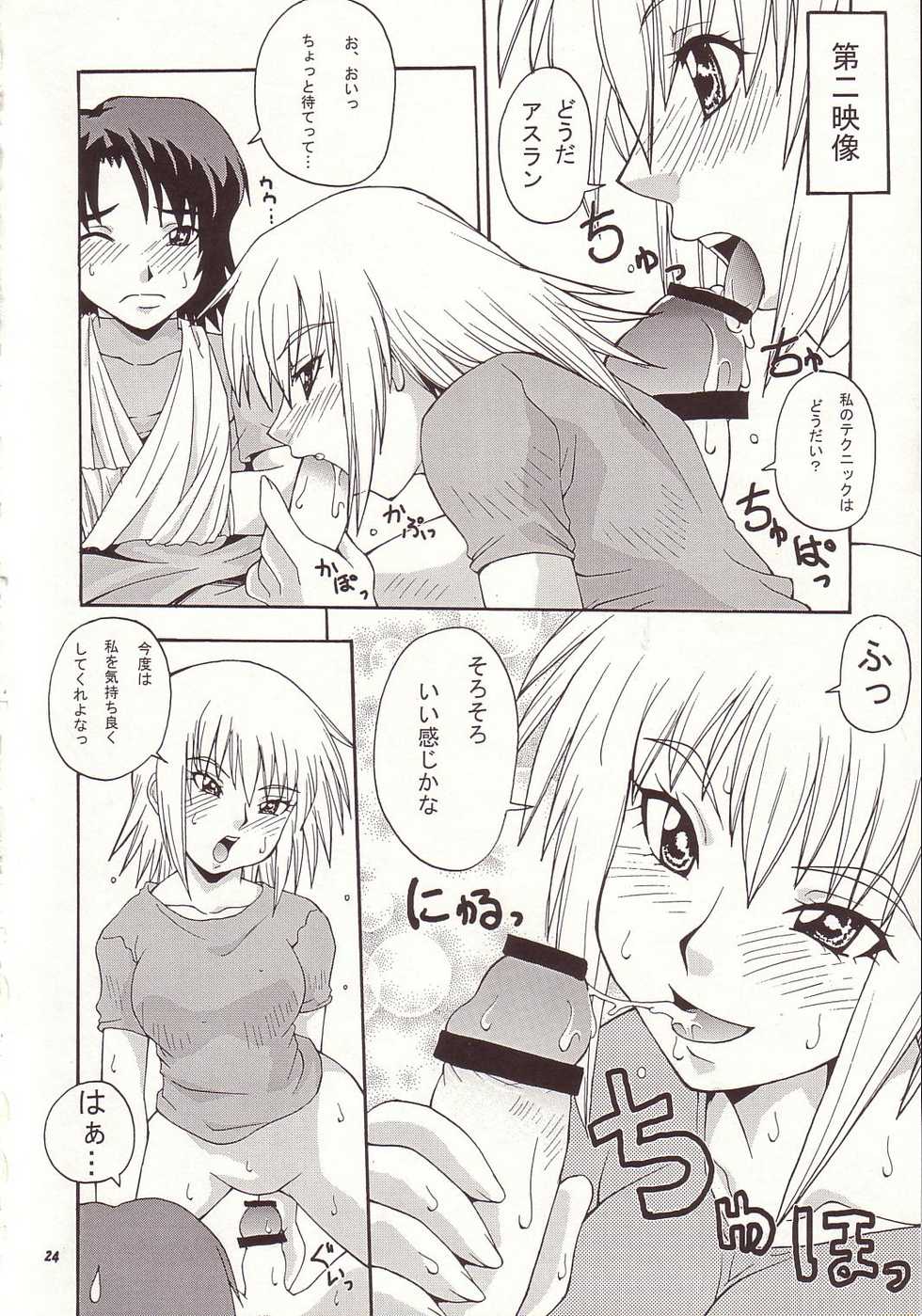 (C64) [MANGANA (Doluta, Nishimo)] Nyan Nyan Seed 3 (Gundam Seed) - Page 23
