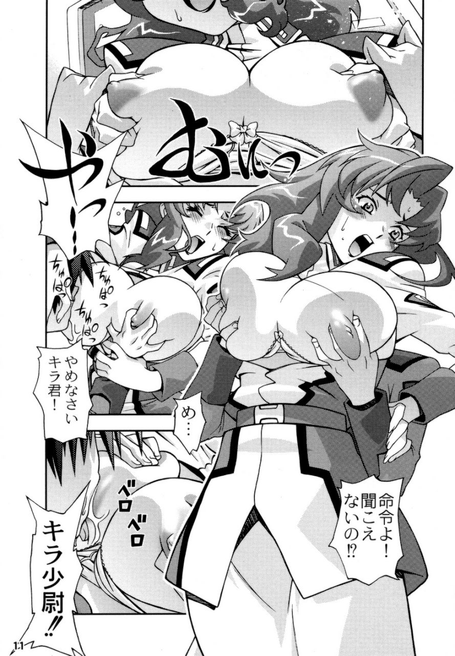 (CR35) [Sanryuu Club (Suzuki Ganma, Suzuki Kimchi)] Okadu Hatake (Gundam SEED) - Page 10