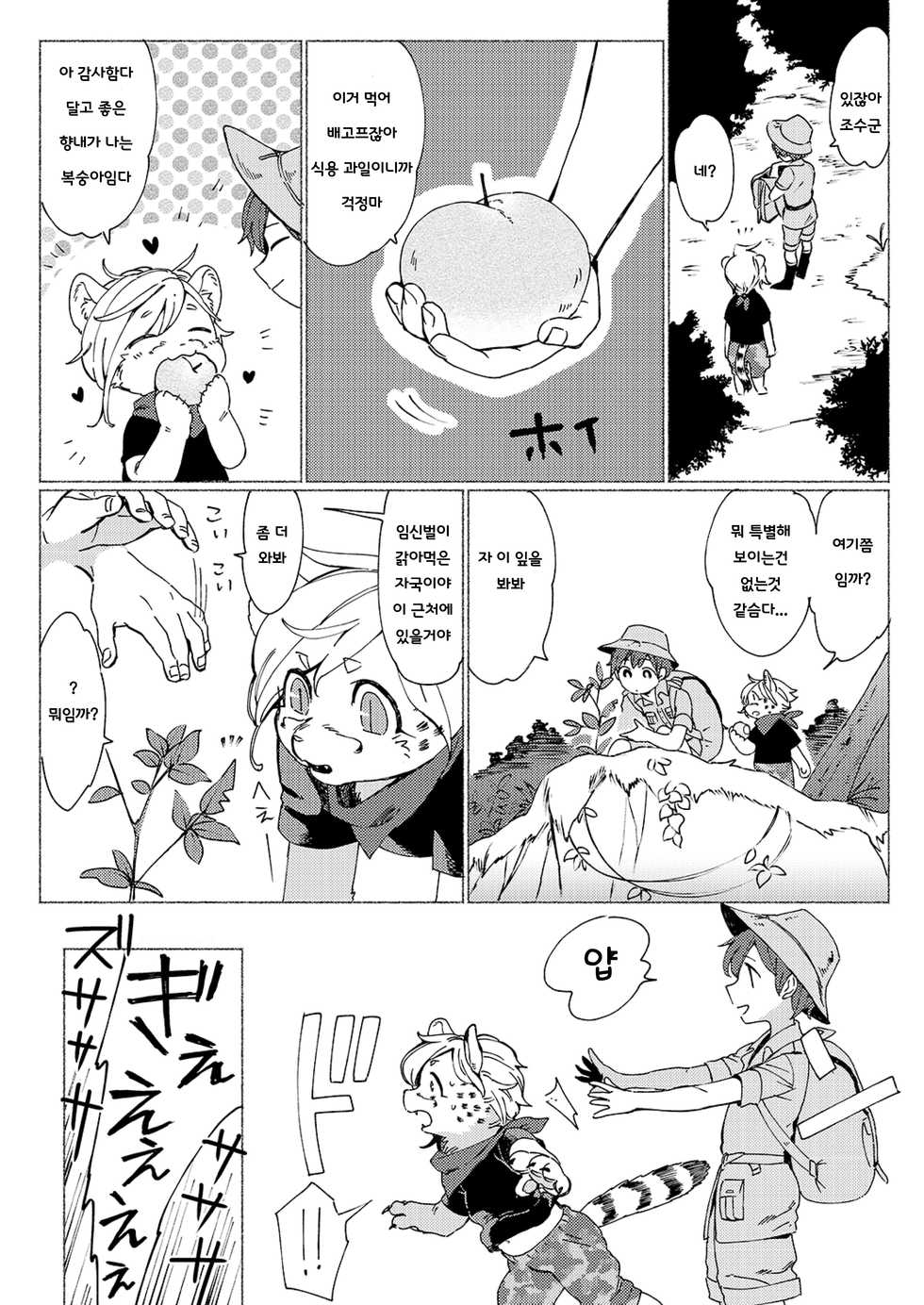 (C93) [Hitsuka no Tsukimiko (Hitsuka)] Jungle Bokki ~1-bonme ♂ Tobidashita~ [Korean] - Page 17