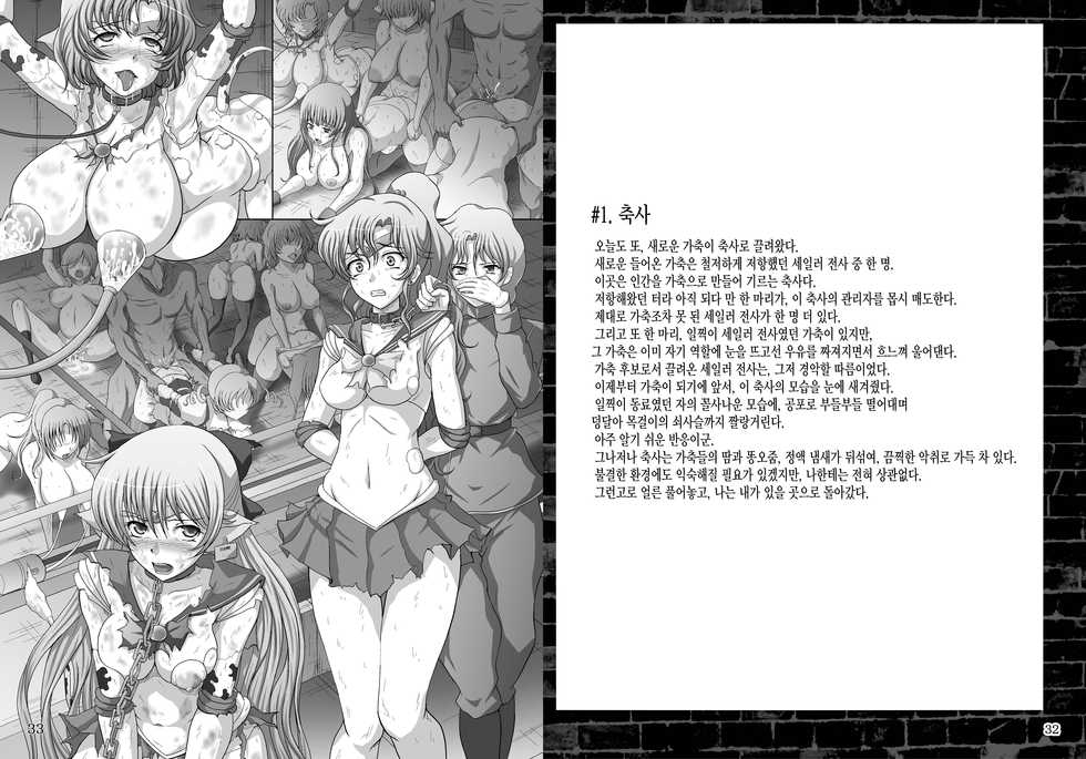 [Daraku Jiko Chousa Iinkai (Sch-mit)] Daraku no Mokusei | Corruption in Jupiter (Bishoujo Senshi Sailor Moon) [Korean] [MMG] [Digital] - Page 17