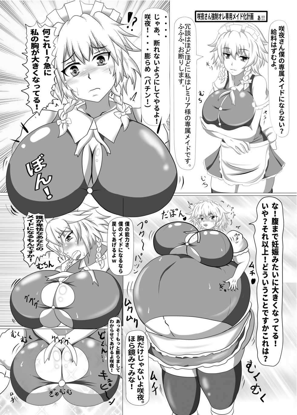 [Nanashi Inflation (binf)] Sakuya-san ga Ojousama no Tame ni Boufuku o Ukeireru Hon ~Haretsu Hen~ (Touhou Project) [Digital] - Page 26