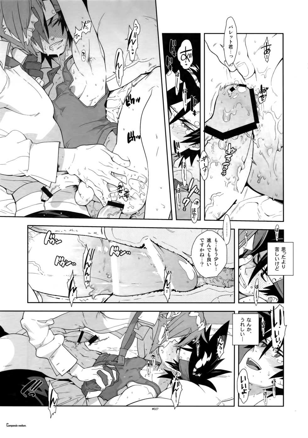 (C87) [Article 60 of Criminal Code (Shuhan)] Shinrabanshou Josei Muke Doujinshi Sairokushuu (Shinrabanshou Choco) - Page 32