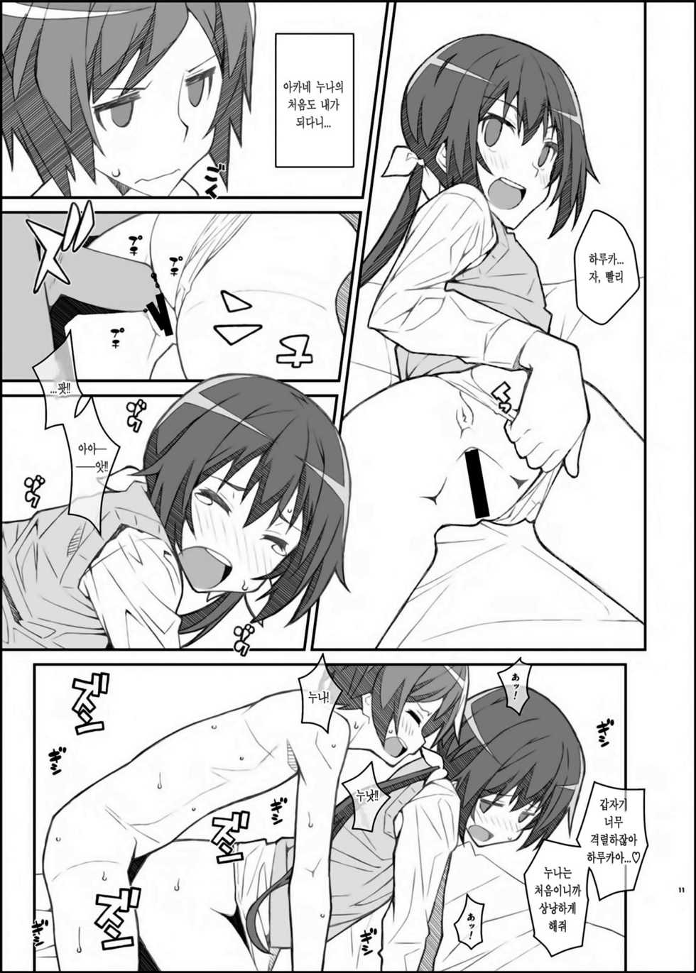 [TYPE-57 (Frunbell)] TYPE-39 (Joukamachi no Dandelion) [Korean] [Digital] - Page 10