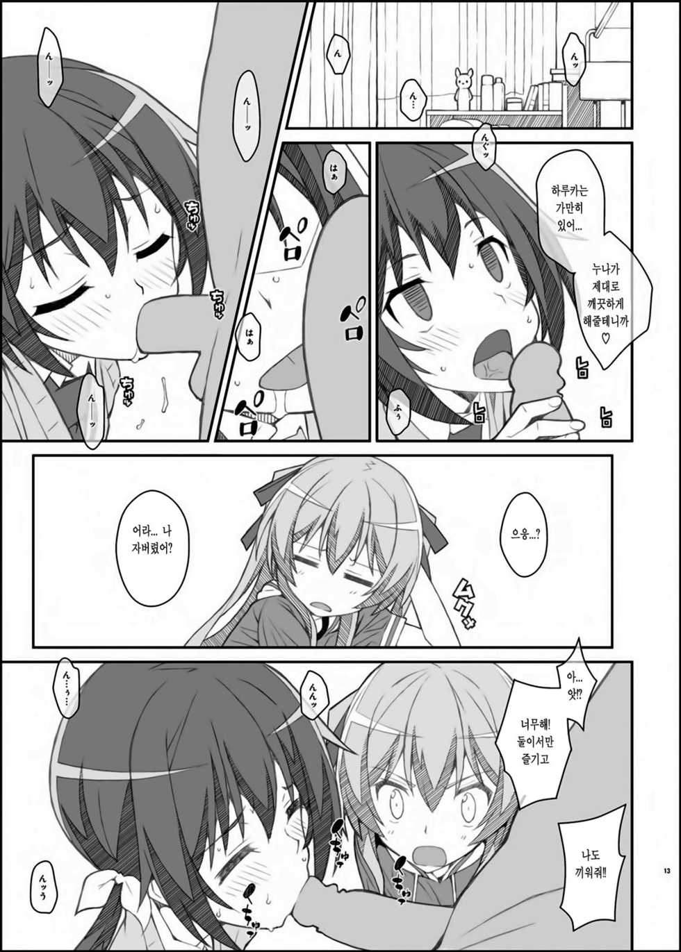 [TYPE-57 (Frunbell)] TYPE-39 (Joukamachi no Dandelion) [Korean] [Digital] - Page 12