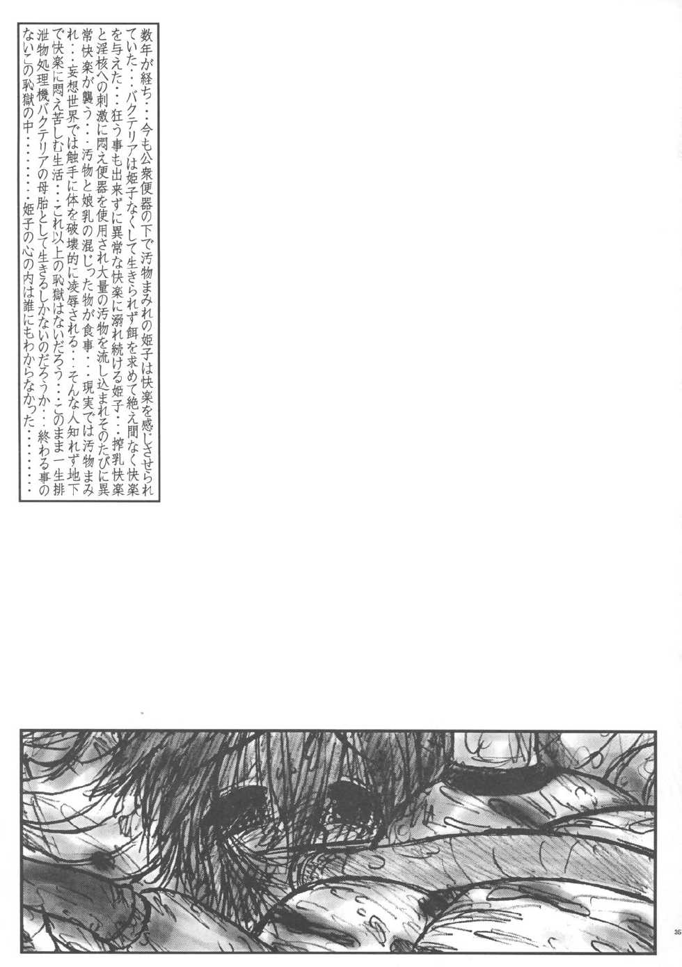 [Circle ENERGY (Imaki Hitotose)] Hime Puchi (Hyper Anna) [2004-01-20] - Page 34