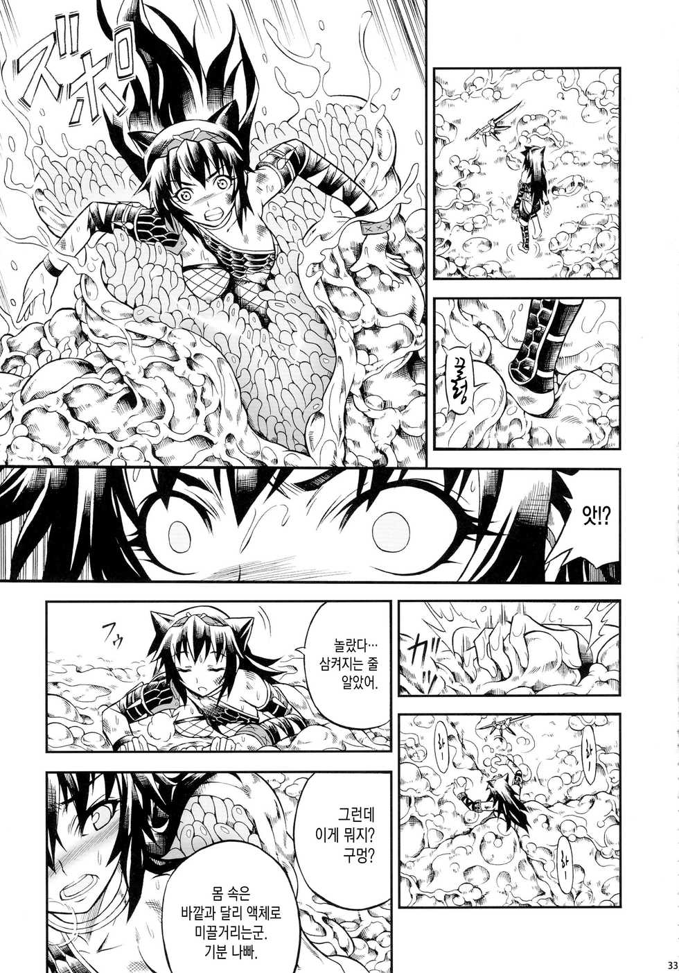 (C90) [Yokohama Junky (Makari Tohru)] Solo Hunter-tachi no Seitai  (Monster Hunter) [korean] - Page 33