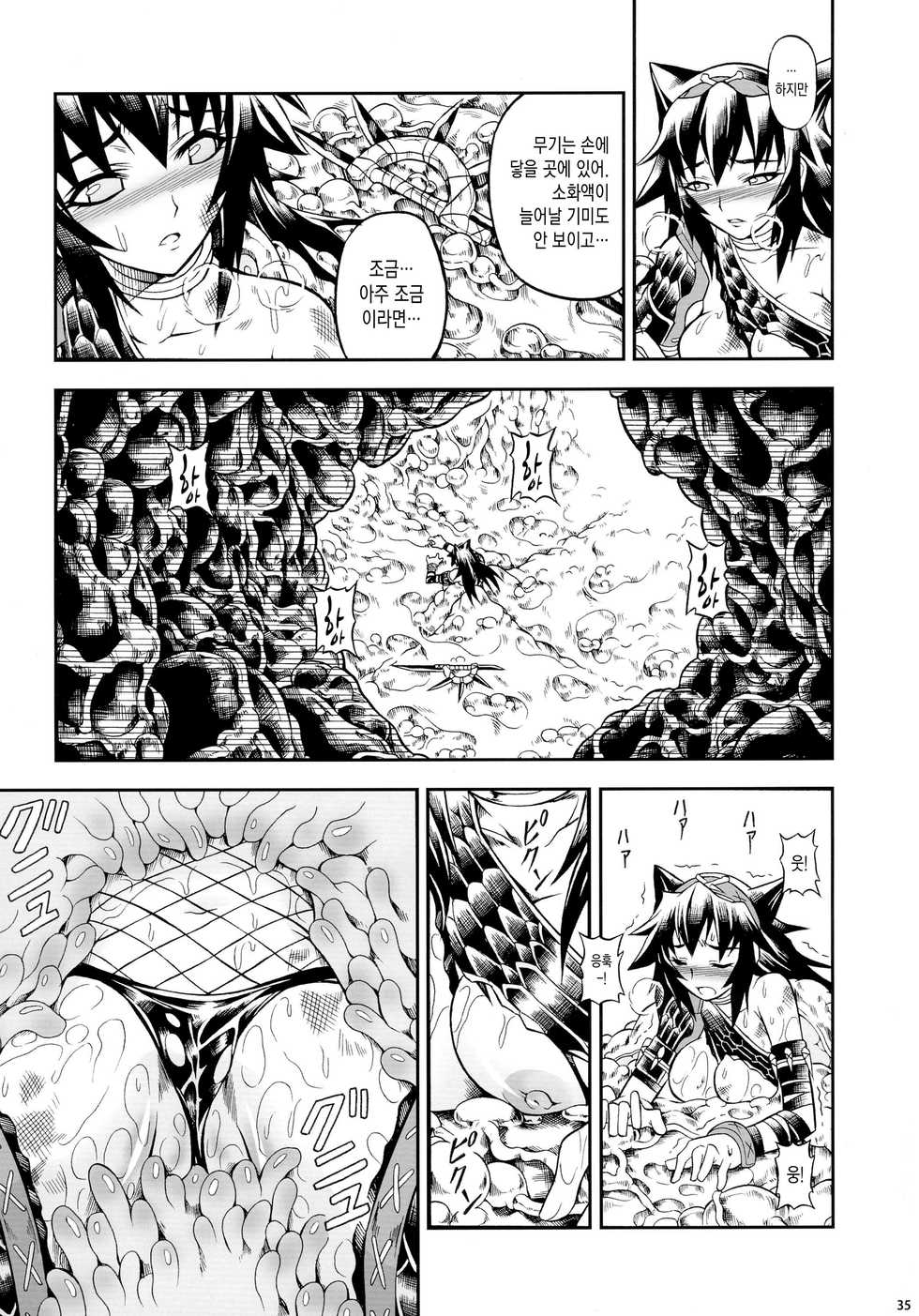 (C90) [Yokohama Junky (Makari Tohru)] Solo Hunter-tachi no Seitai  (Monster Hunter) [korean] - Page 35