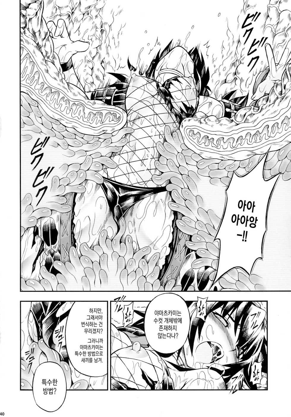 (C90) [Yokohama Junky (Makari Tohru)] Solo Hunter-tachi no Seitai  (Monster Hunter) [korean] - Page 40