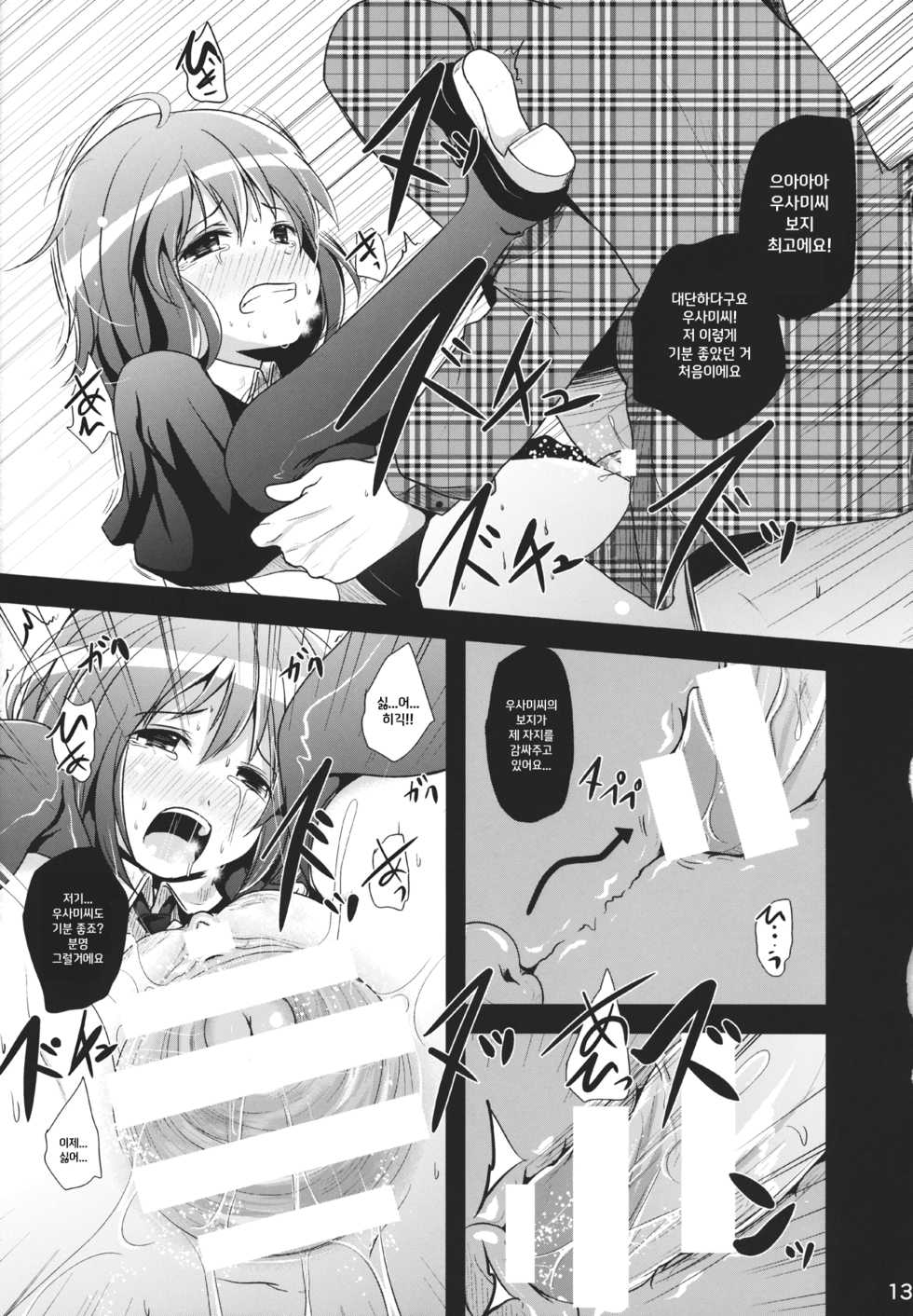 (C85) [Kitsune to Budou (Kurona)] Renka (Touhou Project) [Korean] - Page 12