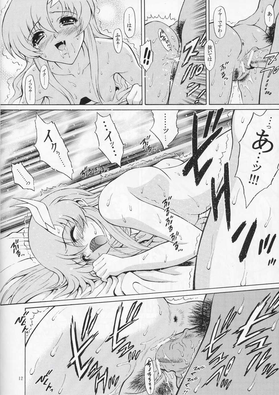 (C66) [GUST (Harukaze Soyogu)] Sternness 3 (Mobile Suit Gundam SEED) - Page 11