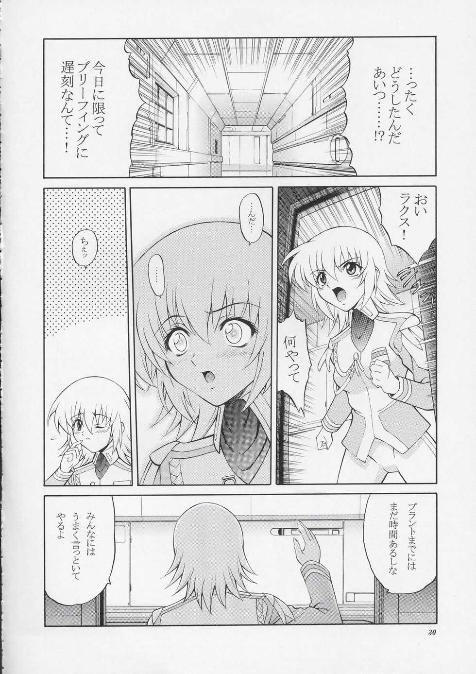 [GUST (Harukaze Soyogu)] Sternness 2 (Mobile Suit Gundam SEED) - Page 29