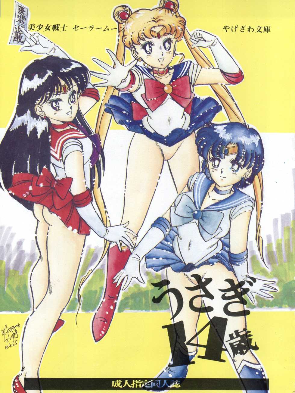 [Yagezawa Bunko (Yagezawa Tetsuyuki)] Usagi 14-sai (Bishoujo Senshi Sailor Moon) [1993-01-24] - Page 3