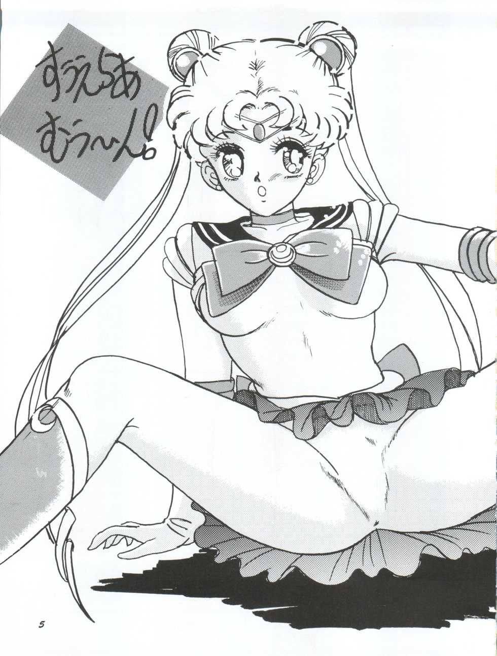 [Yagezawa Bunko (Yagezawa Tetsuyuki)] Usagi 14-sai (Bishoujo Senshi Sailor Moon) [1993-01-24] - Page 5