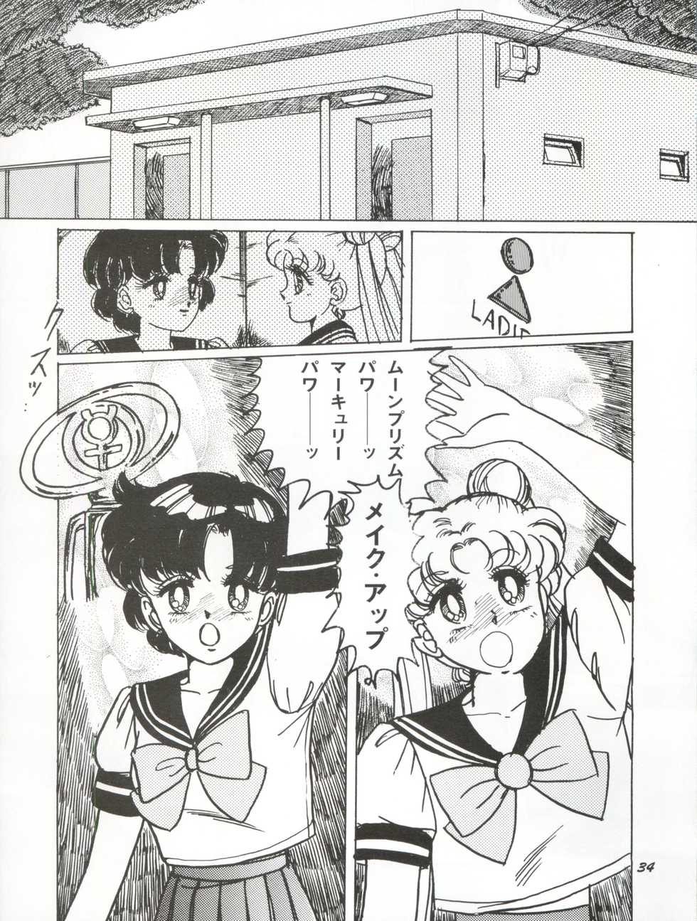 [Yagezawa Bunko (Yagezawa Tetsuyuki)] Usagi 14-sai (Bishoujo Senshi Sailor Moon) [1993-01-24] - Page 34