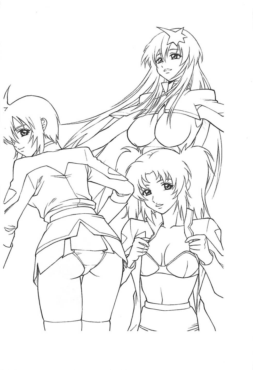 (C68) [Human High-Light Film (Annkoku Daimaou)] Meer to Lunamaria to Meyrin (Gundam SEED DESTINY) - Page 2