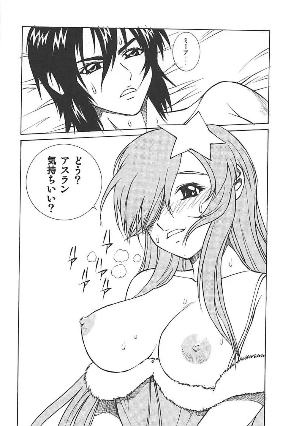 (C68) [Human High-Light Film (Annkoku Daimaou)] Meer to Lunamaria to Meyrin (Gundam SEED DESTINY) - Page 11