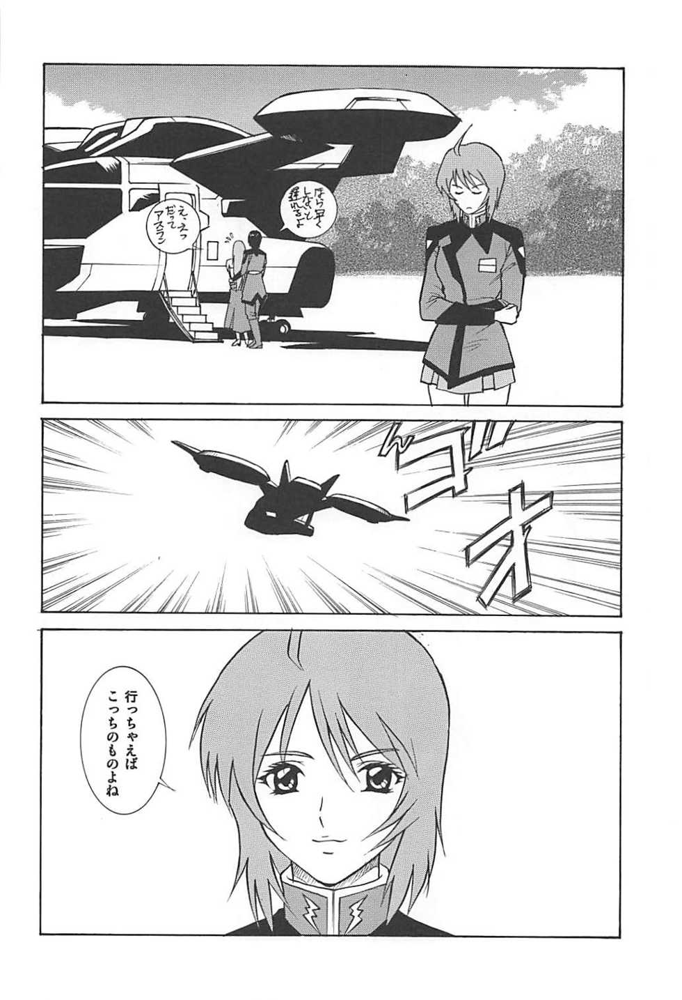 (C68) [Human High-Light Film (Annkoku Daimaou)] Meer to Lunamaria to Meyrin (Gundam SEED DESTINY) - Page 17