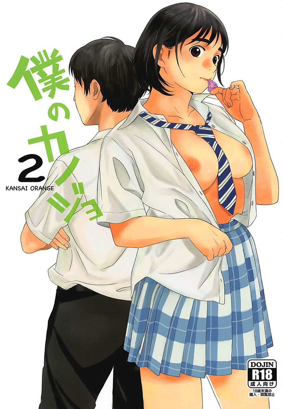 (COMIC1☆13) [Kansai Orange (Arai Kei)] Boku no Kanojo 2 (Fujiyama-san wa Shishunki) - Page 1