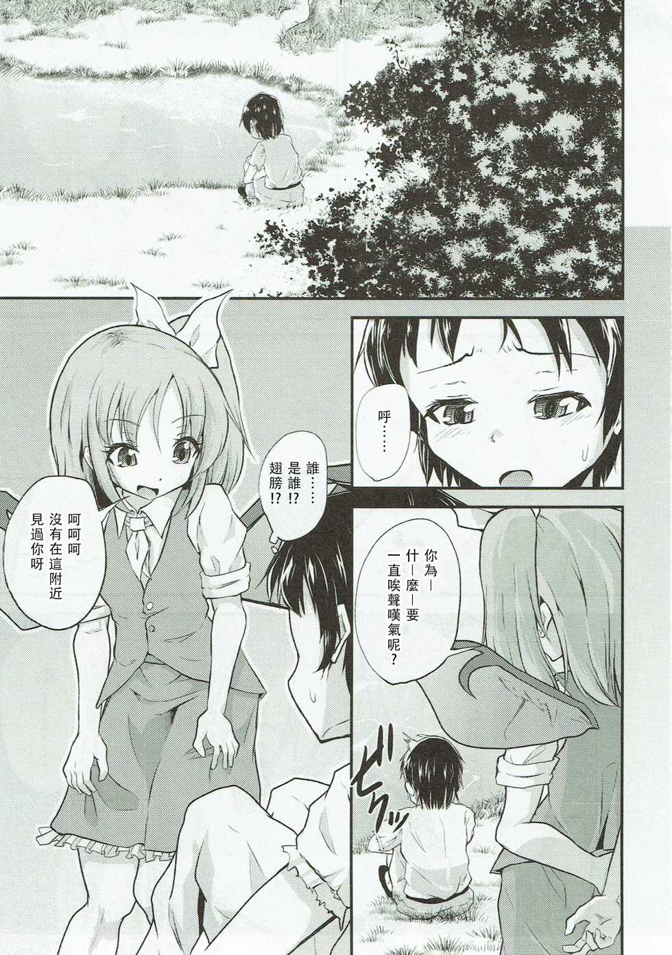 (Reitaisai 13) [Pritannia (Pri)] Daiyousei no Itazura | 大妖精的恶作剧 (Touhou Project) [Chinese] [布洛基个人汉化] - Page 3