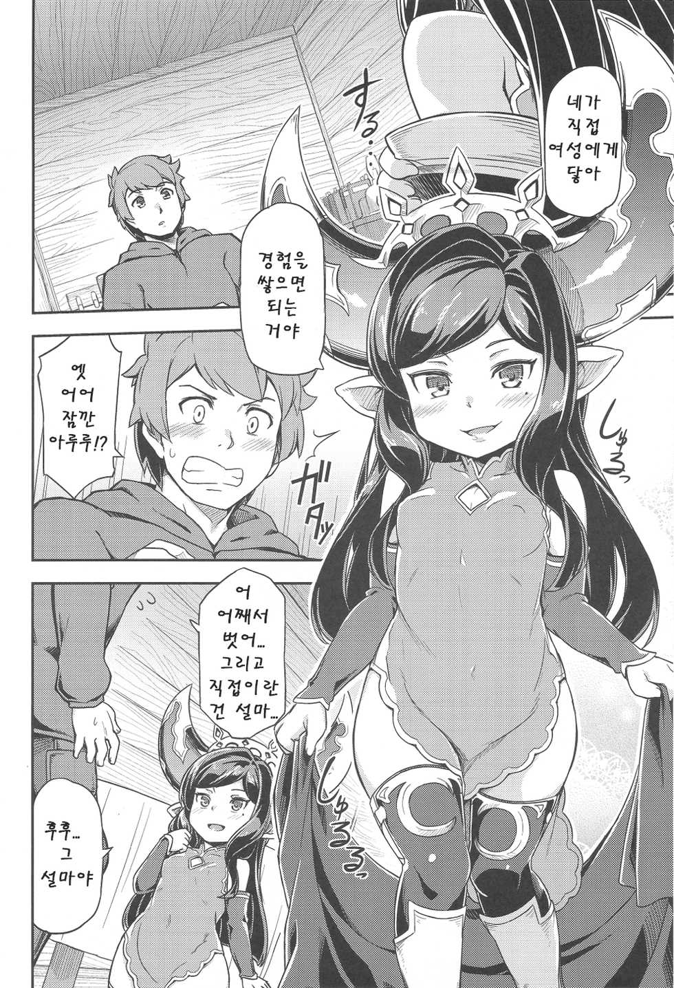 (C91) [SECREDER (Jingai Modoki)] Atarashii Fate Episode ga Arimasu! 2 (Granblue Fantasy) [Korean] - Page 5