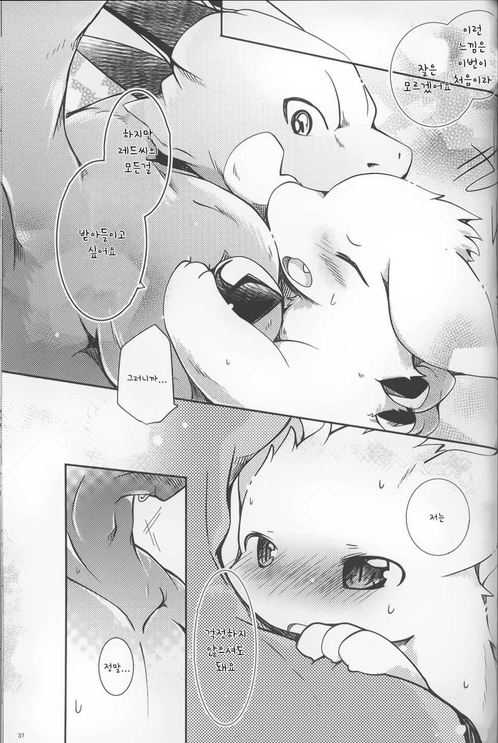 (Kemoket 7) [Kemono no Koshikake (Azuma Minatu)] Kimi no Iro ni Somaritai!! Sairoku+α | 너의 색에 물들고 싶어!! 再録+α [Korean] - Page 33