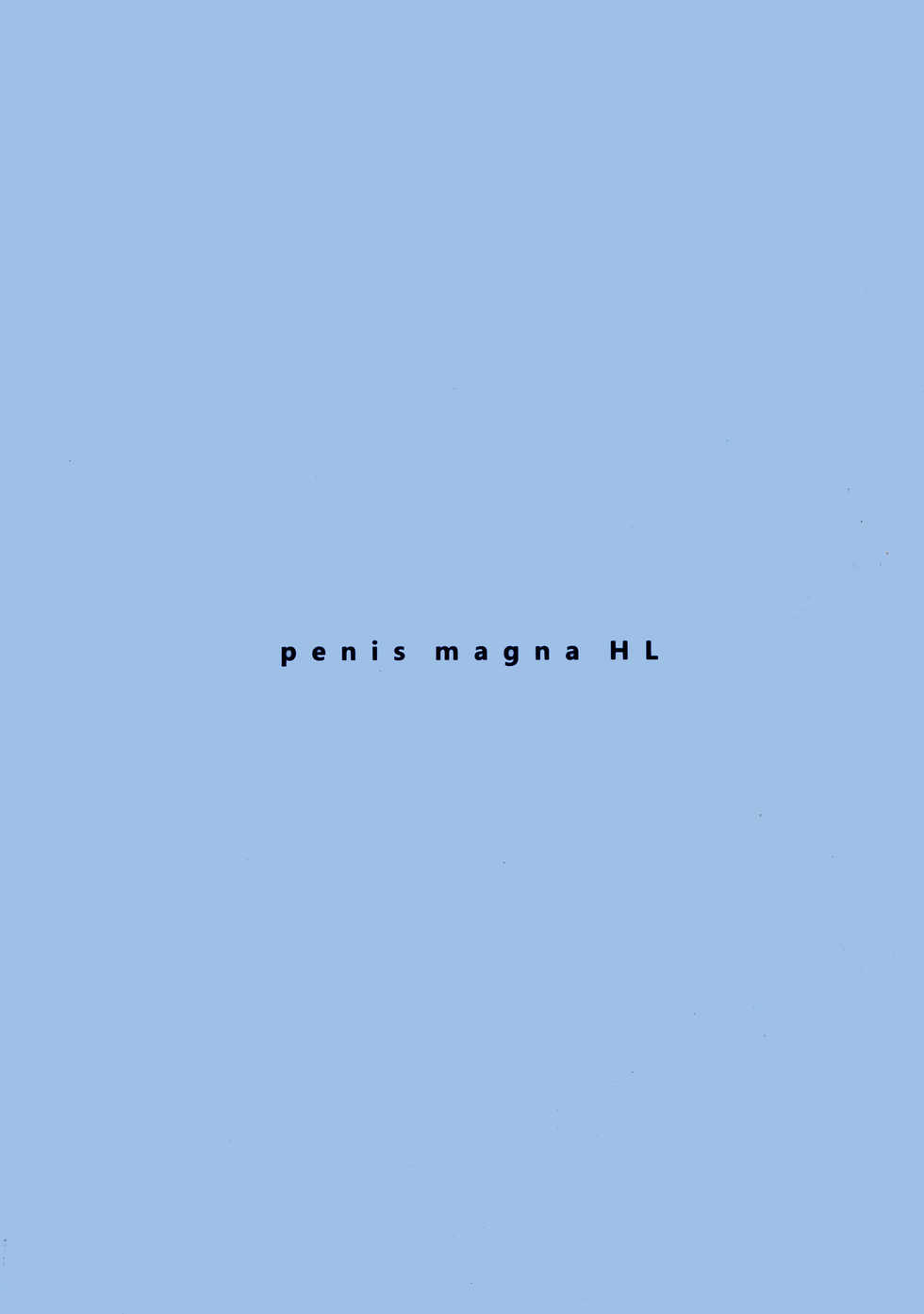 [WASABI (Tatami)] penis magna HL (Granblue Fantasy) - Page 2