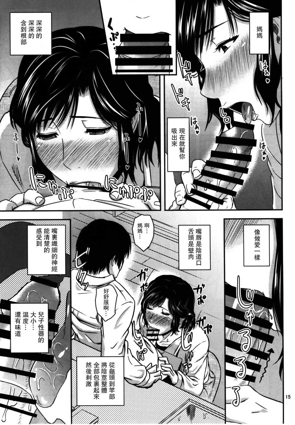 (C93) [Tenguren (Nario)] Boketsu o Horu 17 [Chinese] [瓜皮汉化] - Page 15