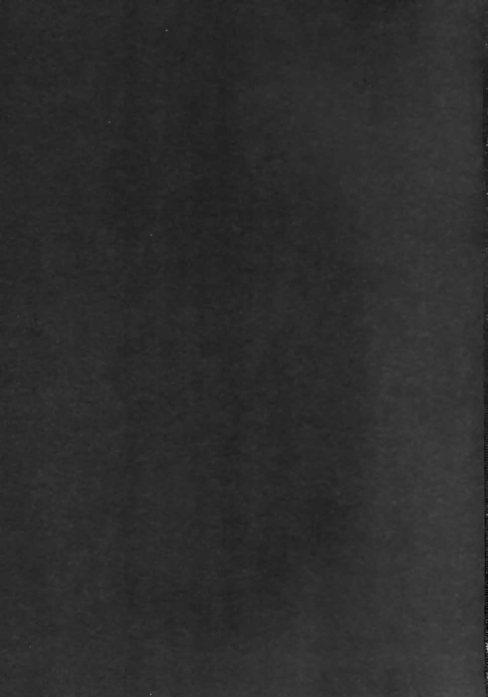 (C93) [ZIGZAG (Hirno)] Reiju o Motte Hoshi 4 Servant to Ecchi Shitai (Fate/Grand Order) [Chinese] [黑锅汉化组] - Page 3