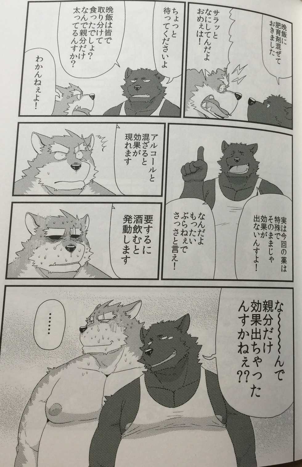 (Kemoket 5) [KAKUNI (Iwano)] Kobun-tachi to Oyabun no Nichijou [Incomplete] - Page 8