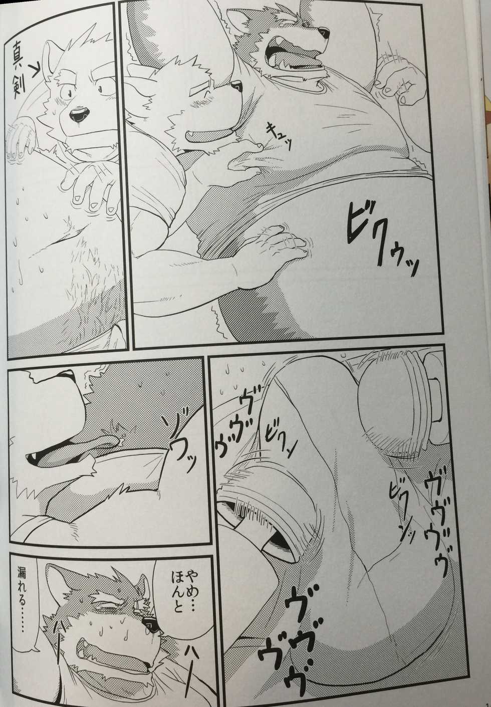 (Kemoket 5) [KAKUNI (Iwano)] Kobun-tachi to Oyabun no Nichijou [Incomplete] - Page 13