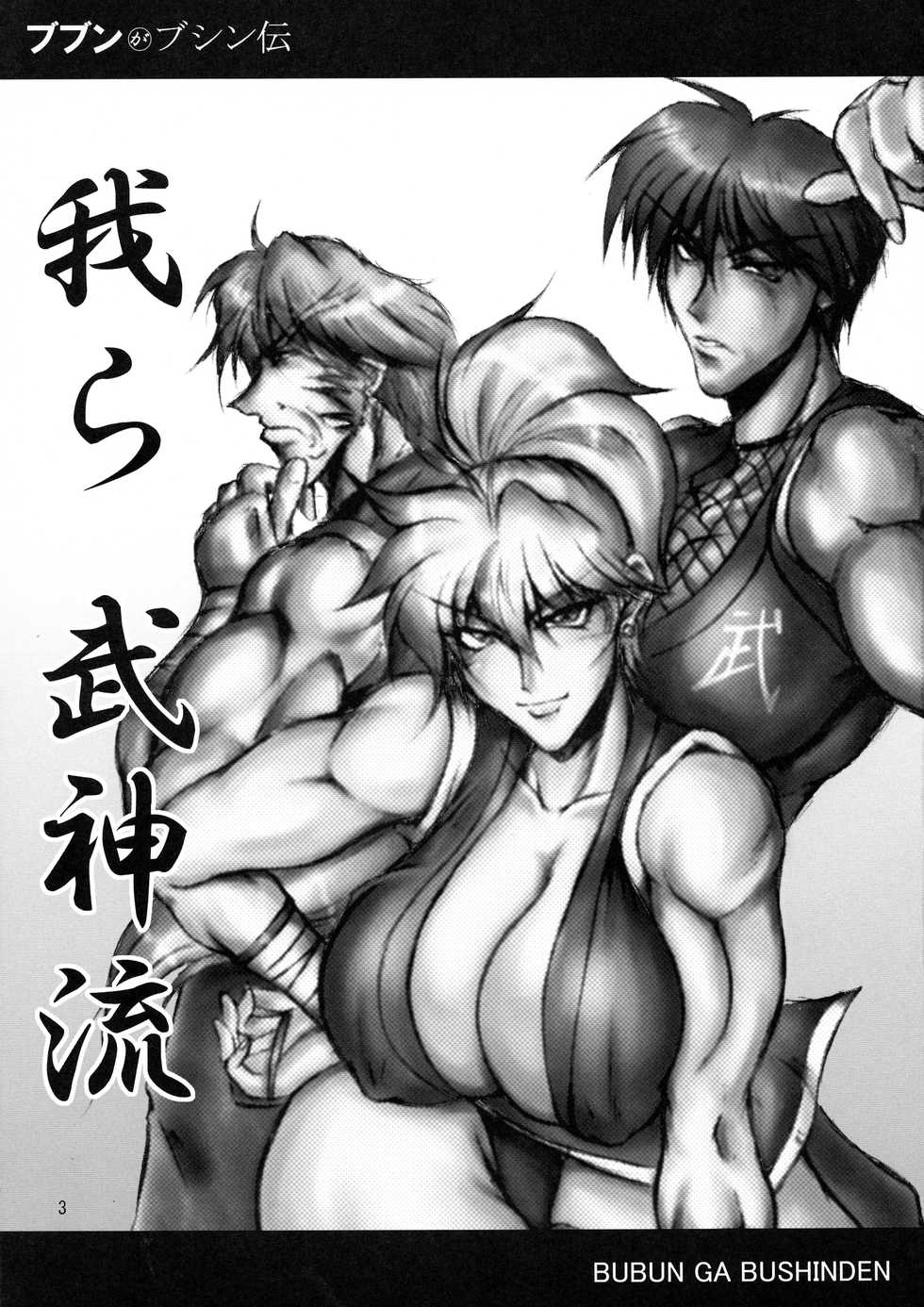 (C68) [bash-inc (BASH)] Bubun ga Bushinden 3 (Capcom VS SNK) - Page 3