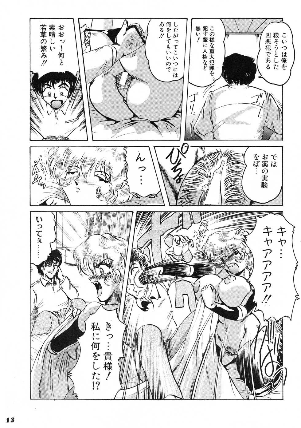 [KEBERO Corporation (Shimokata Kouzou)] Neue Walkure - Page 13