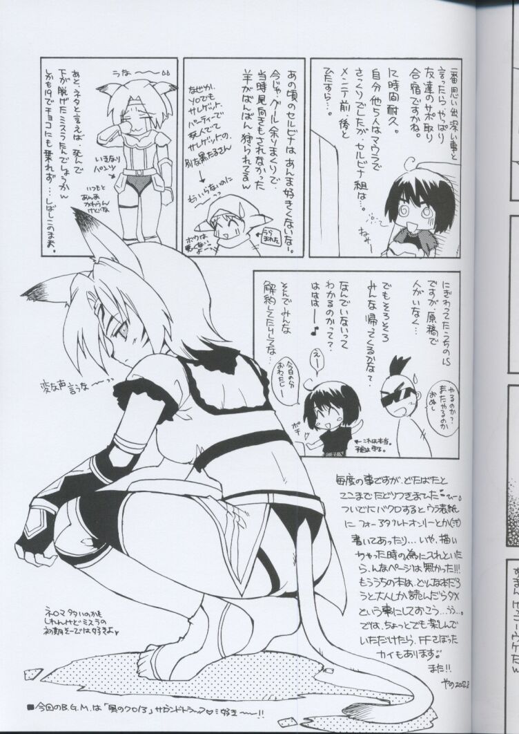 (C62) [SUKAPON-DO (Kagawa Tomonobu, Yano Takumi)] Vana'diel Nikki (Final Fantasy XI) - Page 28