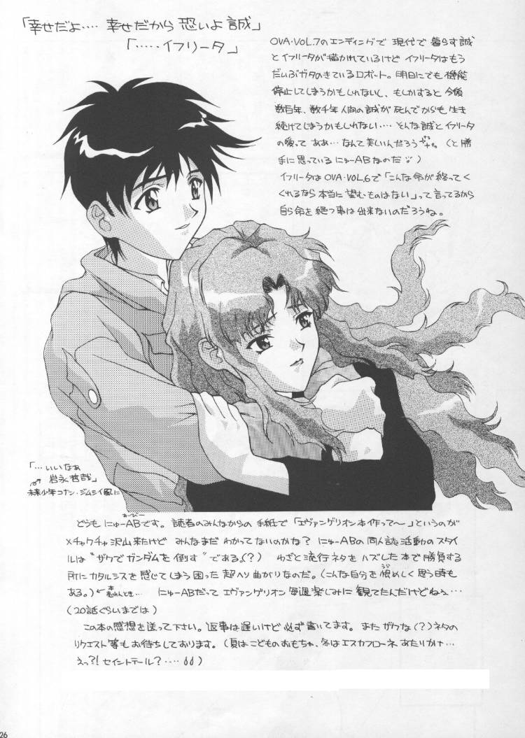 [AB NORMAL (NEW AB)] Aido 12 (El Hazard) - Page 25