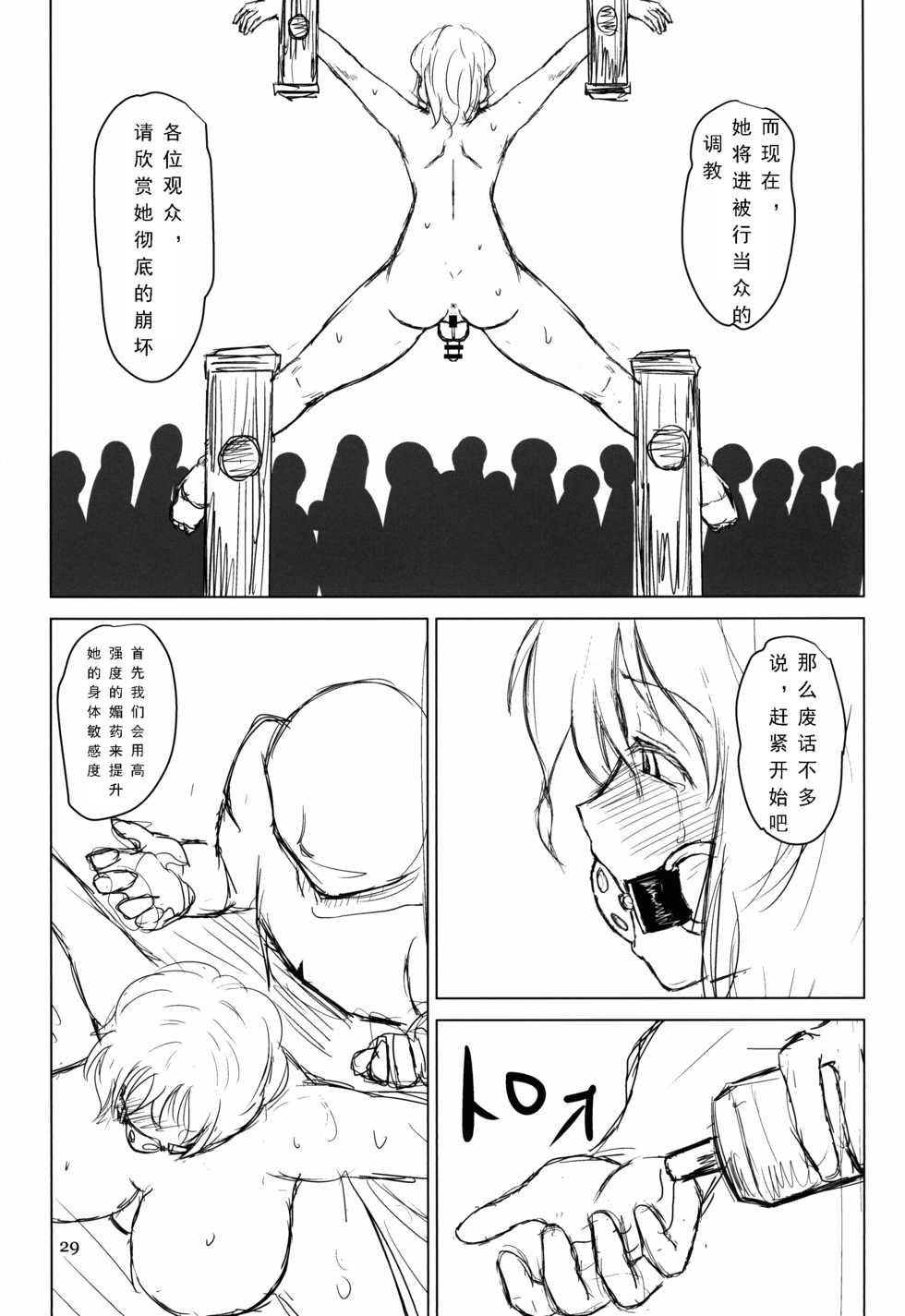 (C88) [Natsuiro Terrace (Kishimasa)] Innyuu Futanari Bourei Shoujo Zoku (Touhou Project) [Chinese] [可乐个人汉化] [Incomplete] - Page 28