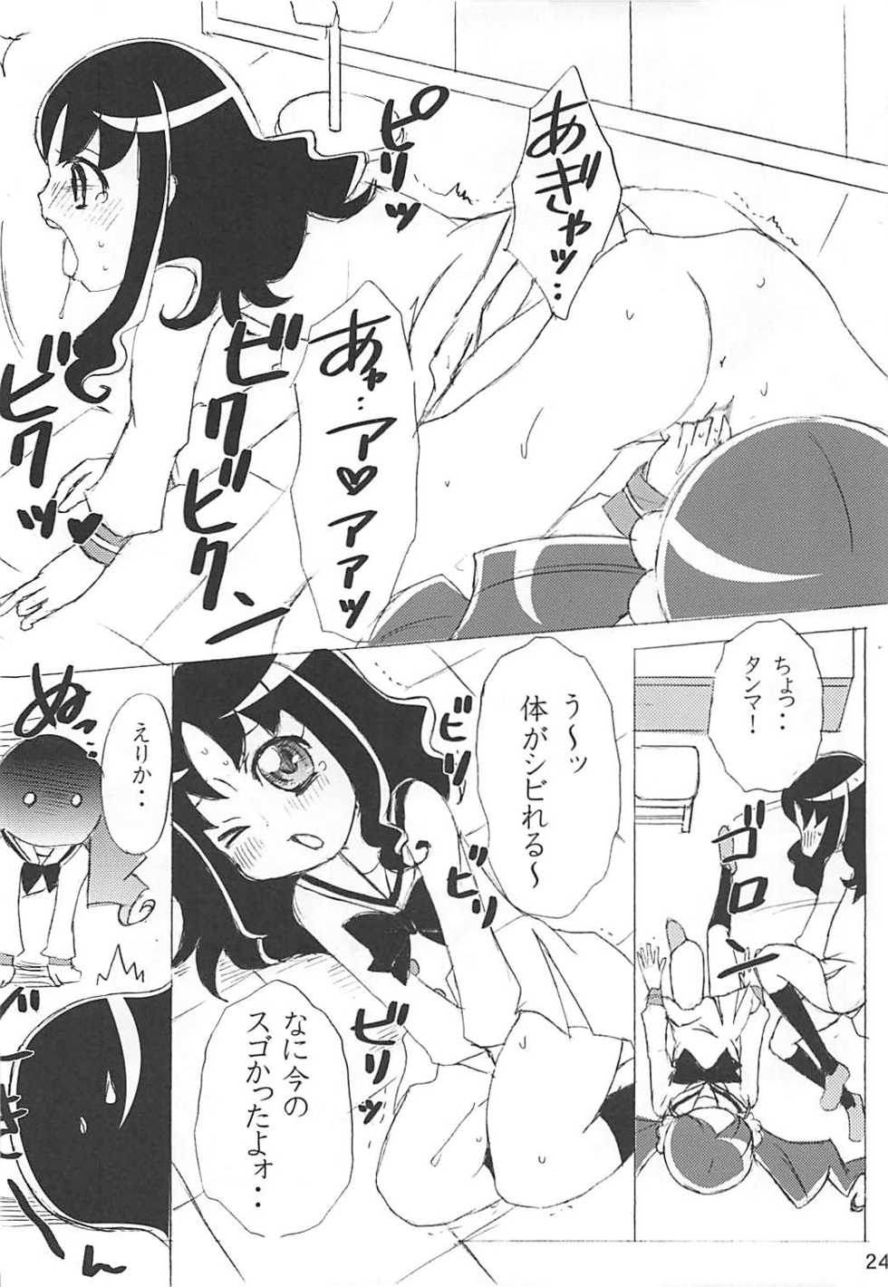 (C78) [Little★Cosmos (Ayano Rumi)] Hazunde Catch! (HeartCatch PreCure!) - Page 23