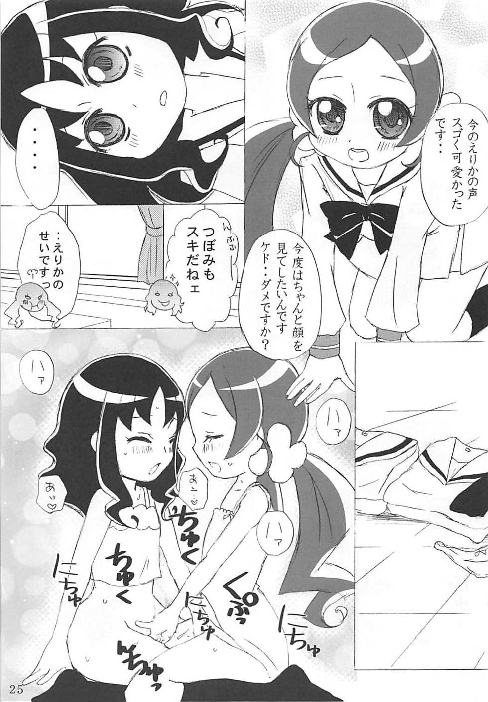 (C78) [Little★Cosmos (Ayano Rumi)] Hazunde Catch! (HeartCatch PreCure!) - Page 24