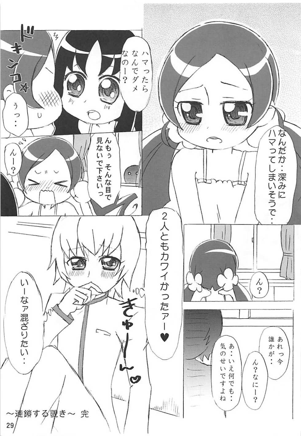 (C78) [Little★Cosmos (Ayano Rumi)] Hazunde Catch! (HeartCatch PreCure!) - Page 28