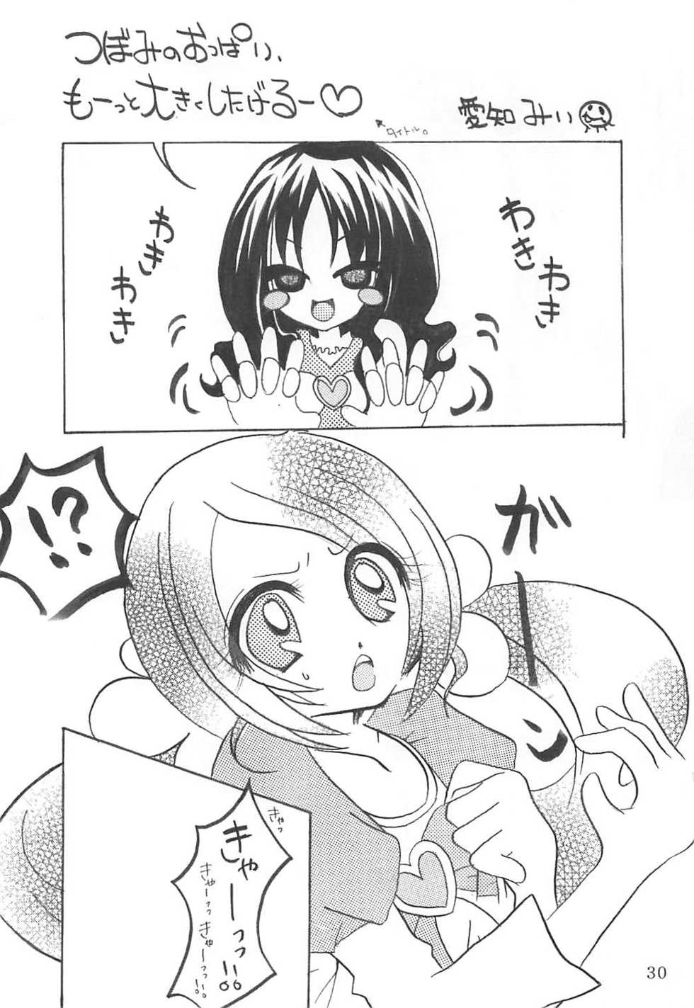(C78) [Little★Cosmos (Ayano Rumi)] Hazunde Catch! (HeartCatch PreCure!) - Page 29