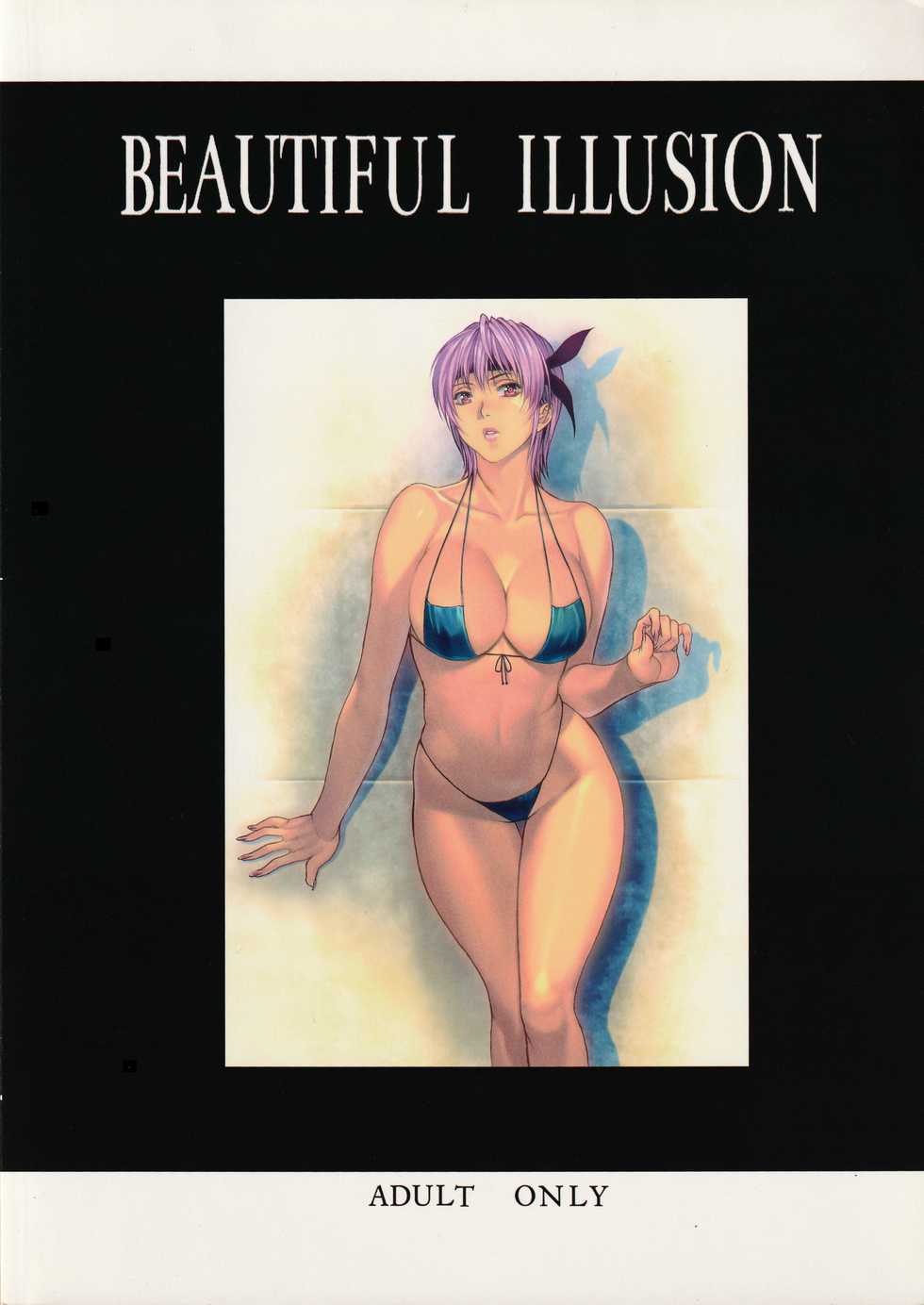 (C84) [FOOL's ART GALLERY (Homare)] BEAUTIFUL ILLUSION 10  (Dead or Alive) - Page 18