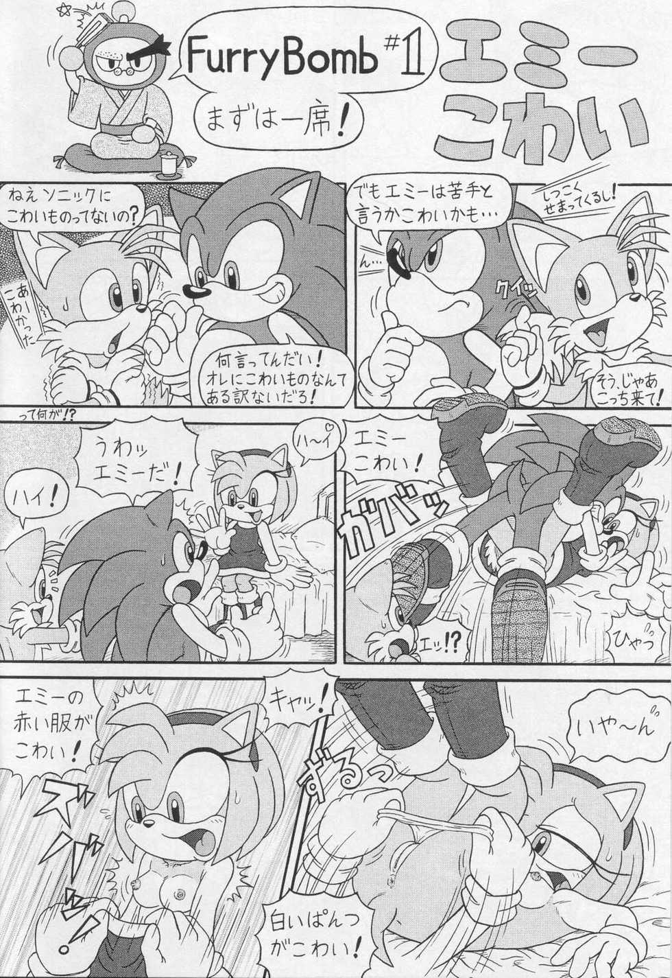 (CR34) [Furry Bomb Factory (Karate Akabon)] Furry BOMB #1 (Sonic the Hedgehog) - Page 2
