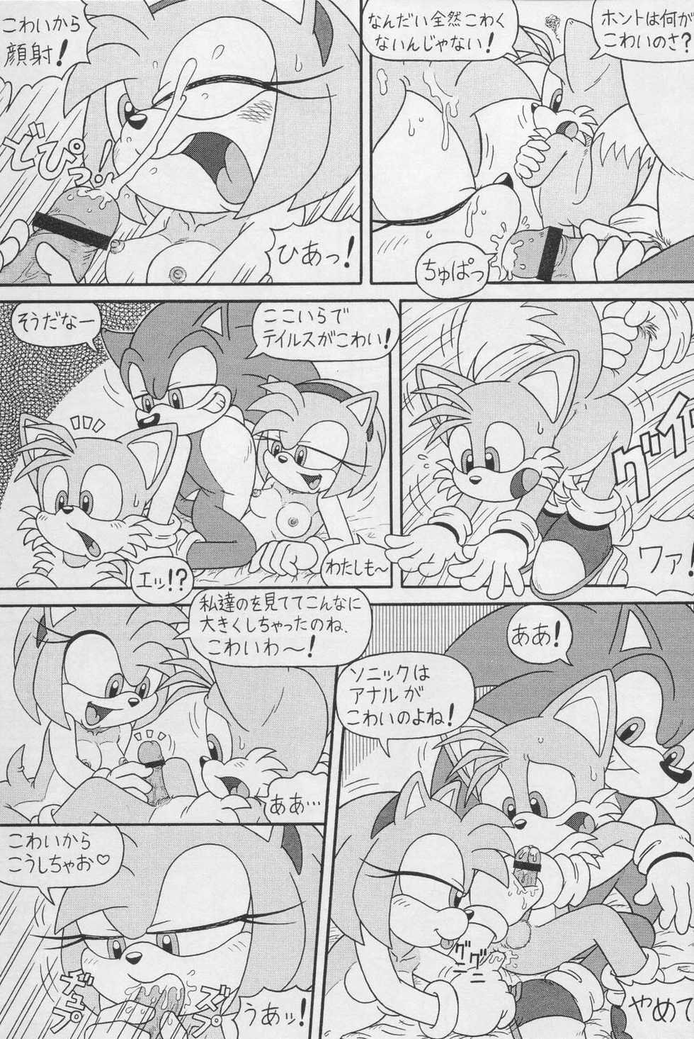 (CR34) [Furry Bomb Factory (Karate Akabon)] Furry BOMB #1 (Sonic the Hedgehog) - Page 5