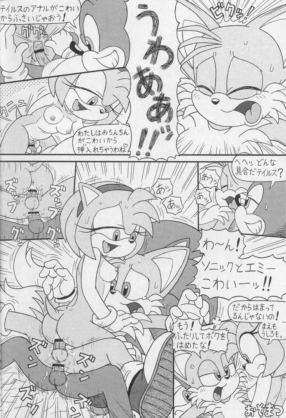 (CR34) [Furry Bomb Factory (Karate Akabon)] Furry BOMB #1 (Sonic the Hedgehog) - Page 6