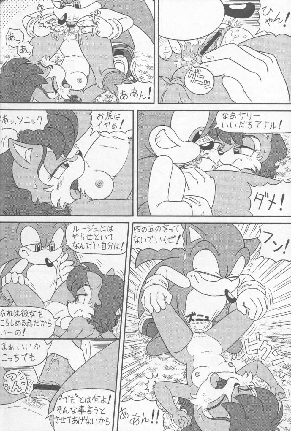 (CR34) [Furry Bomb Factory (Karate Akabon)] Furry BOMB #1 (Sonic the Hedgehog) - Page 40