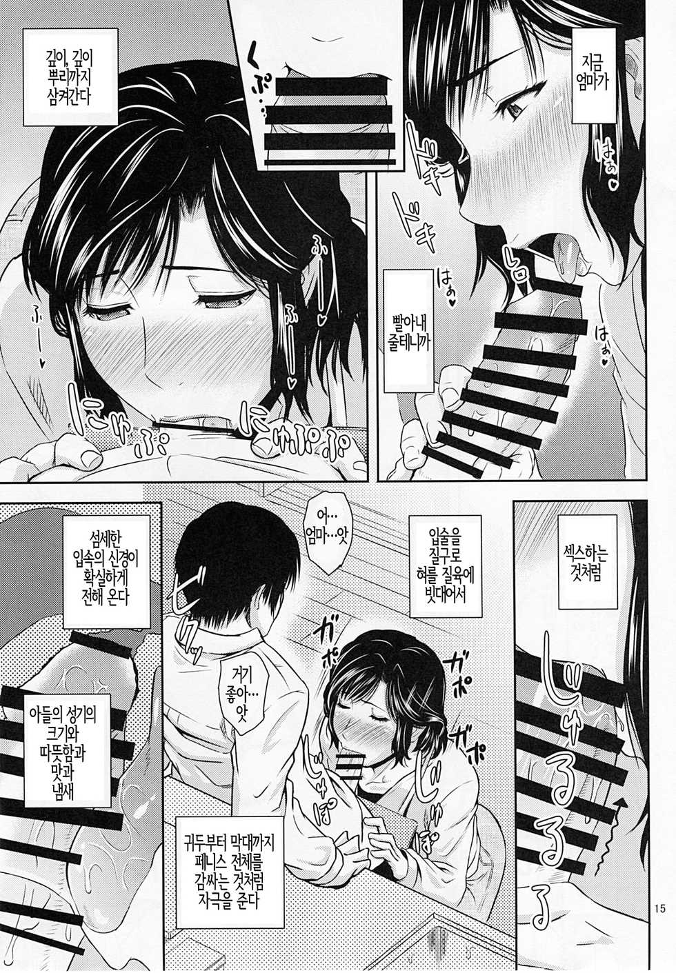 (C93) [Tenguren (Nario)] Boketsu o Horu 17 | 모혈을 파다 17 [Korean] [Team Owner] - Page 14