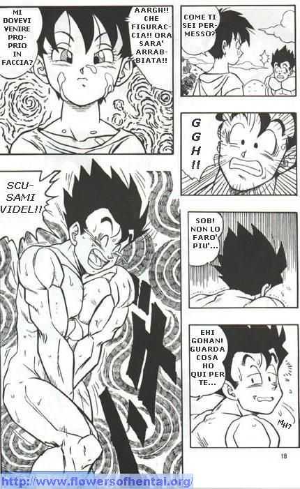 DragonBallH-GohanXVide [Italian] [Rewrite] [Flowers of Hentai] - Page 17