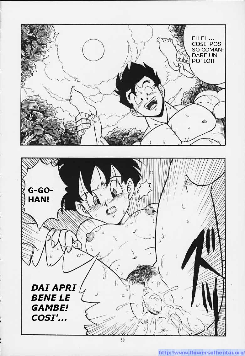 DragonBallH-GohanXVide [Italian] [Rewrite] [Flowers of Hentai] - Page 25